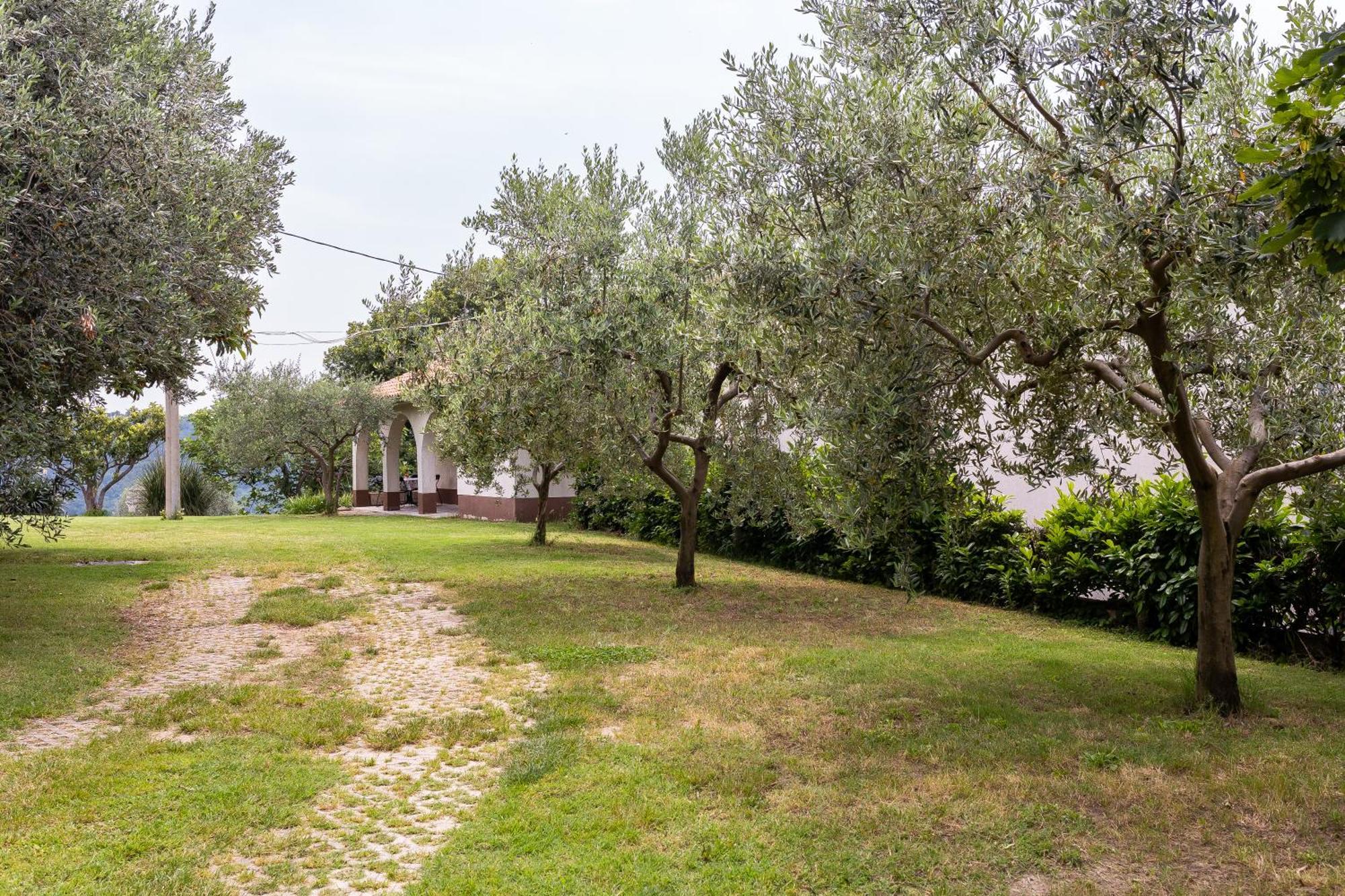 Apartments Cipresa Portoroz Exterior photo